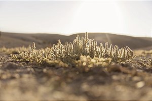 Print Deserto Agafay 2