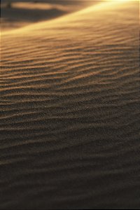 Print Deserto Sahara 14