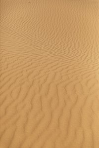 Print Deserto Sahara 2