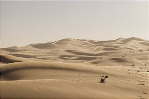 Print Deserto Sahara 4