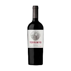Vinho Terrunyo Carmernere Peumo Vineyard - Garrafa com 750ML
