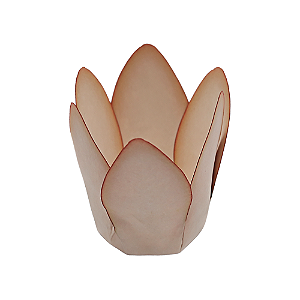 Forminha Decora Doces Monaco Vanilla - Embalagem com 50UN