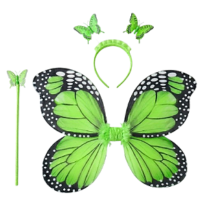 Fantasia Borboleta Verde com Borda Preta
