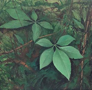 Cipós - Obra com Tema Natureza - Realismo por Sueli Dabus - 100cm x 100cm