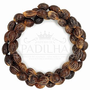 Guia De Coquinho Natural Tratado Envernizado