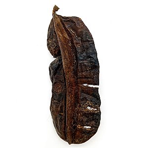 Fava Aridan Semente Aridã Ritualistica