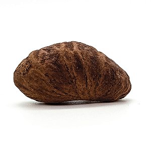 Fava Oxum Semente Ritualistica