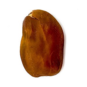 Fava da União Iansã Oyá Semente Ritualistica
