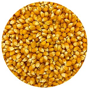 Grão Milho De Pipoca Amarelo 500G A Granel
