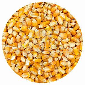 Grão Milho De Galinha Amarelo 500G A Granel