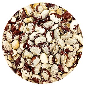 Grão De Feijão Fava Rajada Graúda 500G A Granel
