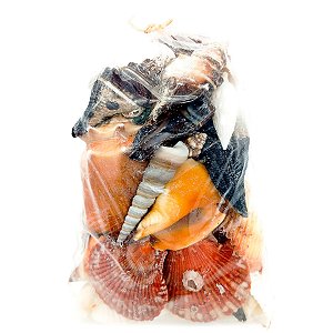 Saco Pacote Pequeno De Conchas Mix Diversos Tipos E Tamanhos