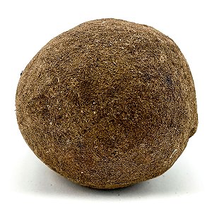 Bufa De Boi Baga Bola De Bucho