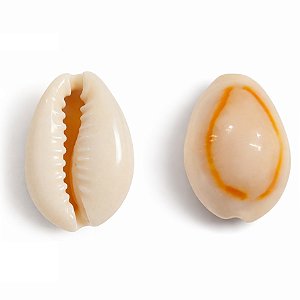 Búzio Pombo Terra Fechado 1UN Búzios Natural