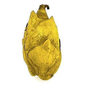Fava Flor Amarela Semente Ritualistica 1Un Pombogira