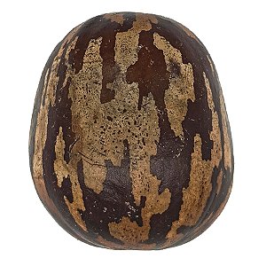 Fava Divina Obaluae Semente Ritualistica Omolu 1Un