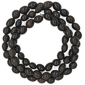 Guia De Coquinho Natural Tratado Envernizado e Lustrado