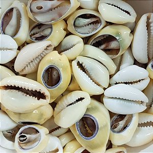 Búzio Gema Aberto Pacote C/ 100g Búzios Natural