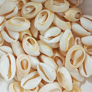 Búzio Pombo Terra Aberto Pacote C/ 100g Búzios Natural