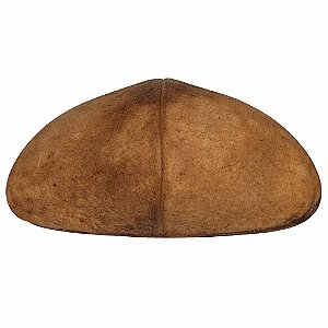 Fava Chapéu Napoleão Semente Ritualística 1Un