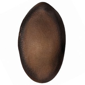 Fava Divina Semente Divino Ritualística 1Un