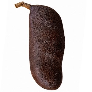 Fava Jatobá Semente Ritualística Jatobã Farinheira