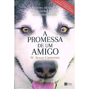 Promessa De Um Amigo