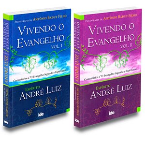 Kit Vivendo o Evangelho - Vol. 1 e Vol. 2