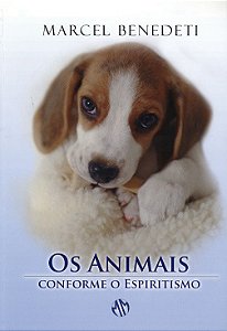 Os Animais Conforme o Espiritismo