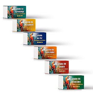 Kit 6 araras - Mensagens de Otimismo