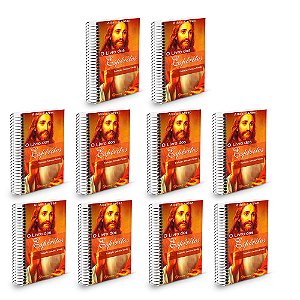 Kit 10 O Livro Dos Espíritos Espiral - 10 Livros