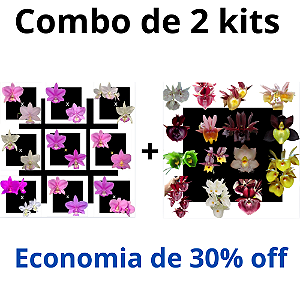 Combo Kits de Orquídeas - Codígo 1001
