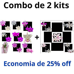 Combo Kits de Orquídeas - Codígo 1004