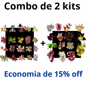 Combo Kits de Orquídeas - Codígo 1007