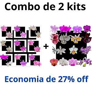 Combo Kits de Orquídeas - Codígo 1008