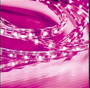 Fita led 2 5w 30 leds/m 5m 100/240v ip55/rosa