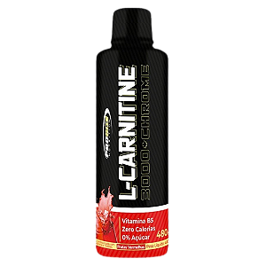 L-Carnitina 3000 480ml - Prosize