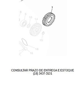 ENGRENAGEM MOTORA DA BOMBA DE AGUA XT 660R 2005 ATE 2018  ORIGINAL YAMAHA (CONSULTAR PRAZO DE ENTREGA E ESTOQUE)