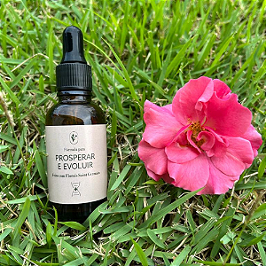Floral para Prosperidade 30ml