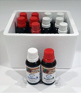 CONJUNTO DE 6 UNIDADES DE KIT SANITIZANTE 30 mL