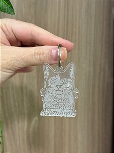 CHAVEIRO GATA GRÁVIDA DE TAUBATÉ