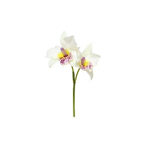 Haste Orquídea Cattleya Branco Toque Real - Alt 32cm