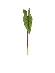 Folhagem Alocasia Toque Real - Alt. 41X8CM - Brilliance