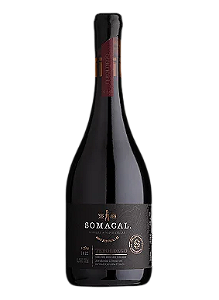 Vinho Somacal Terroir Intense Teroldego
