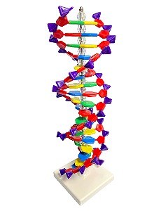 Dupla hélice de DNA