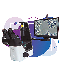PrimeCam TS2 S
