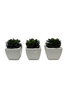 Kit Com 3 Vasos Suculentas