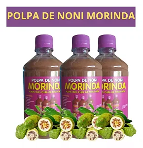 fruta noni onde comprar Polpa de Fruta Noni 500ml Orgânico e Natural
