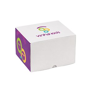 CAIXA NOVA LOGO - VINHA KIDS