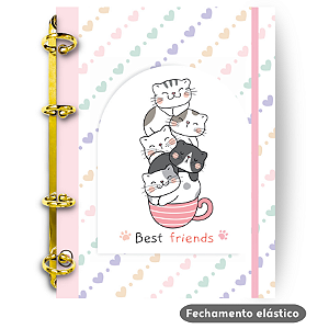 Fichário - Gatinhos